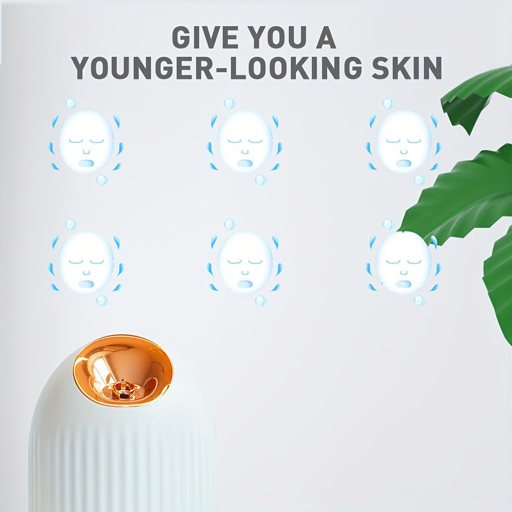 Portable Facial Steamer